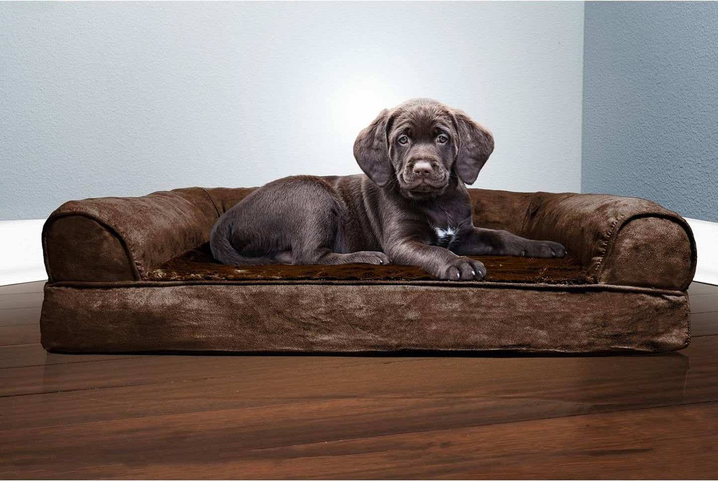 Orthopedic Dog Bed for Medium/Small Dogs W/ Removable Bolsters & Washable Cover, for Dogs up to 35 Lbs - Plush & Suede Sofa - Gray, Medium