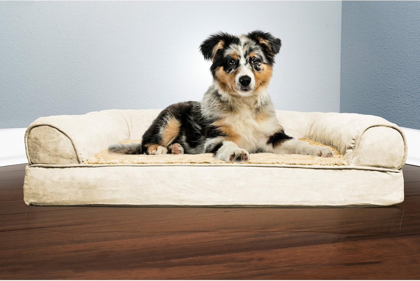 Orthopedic Dog Bed for Medium/Small Dogs W/ Removable Bolsters & Washable Cover, for Dogs up to 35 Lbs - Plush & Suede Sofa - Gray, Medium